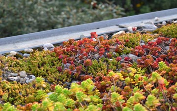 the cost of Ulleskelf green roof installation