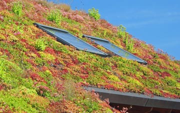 Ulleskelf living roof systems